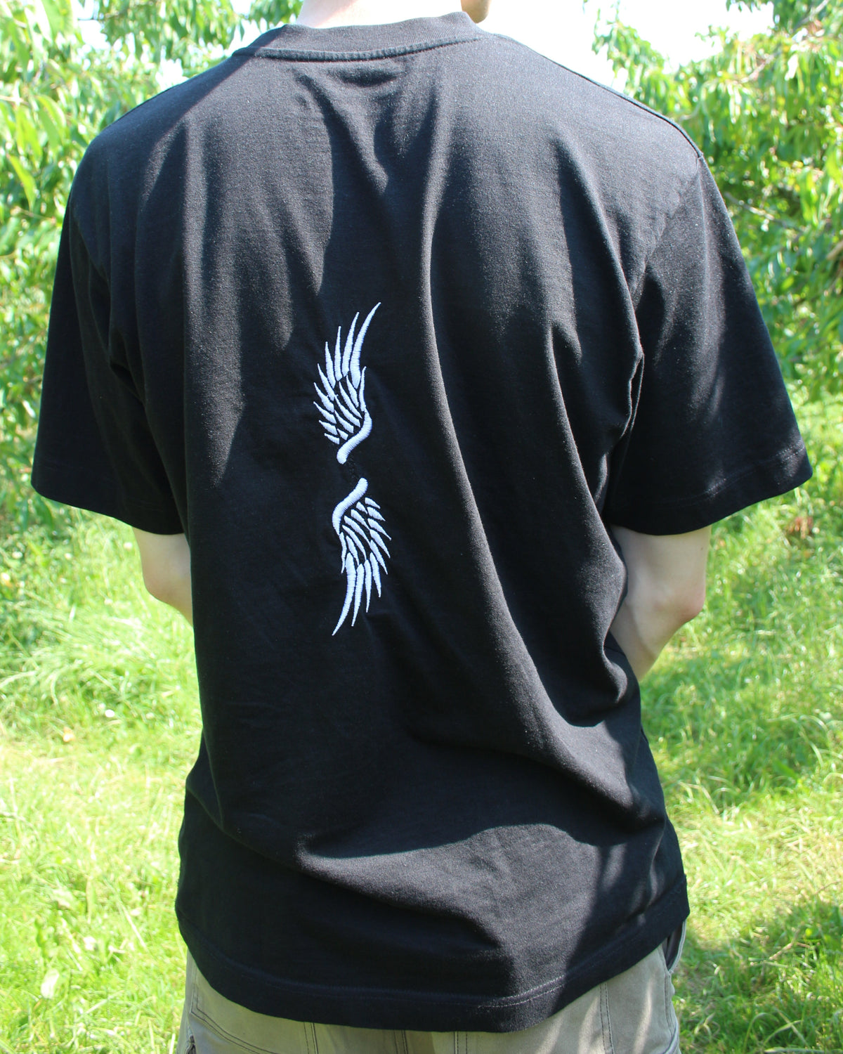 wings